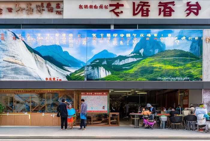 庐山旅行社武汉（庐山旅行社武汉有几家）