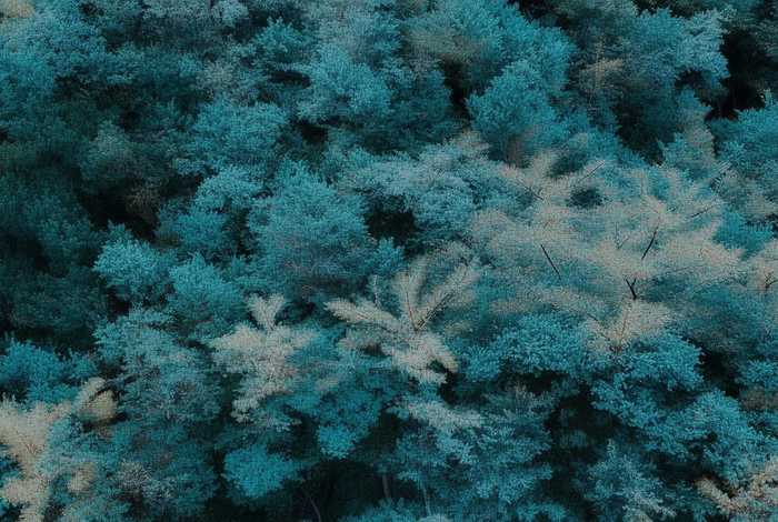 丽江舒馨旅行社有限公司好不好 - 丽江舒馨旅行社有限公司好不好进