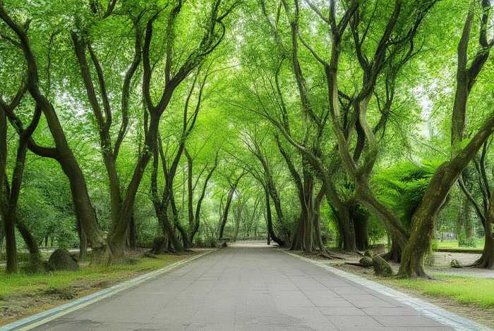 适合老年人旅游的地方排行榜(适合老年人旅游的地方排行榜沈阳) 适合老年人旅游的地方排行榜(适合老年人旅游的地方排行榜沈阳)