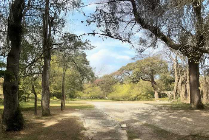 中国旅行社官网万彩仙踪(云南定制旅游系列万彩仙踪) 中国旅行社官网万彩仙踪(云南定制旅游系列万彩仙踪)