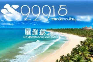 海南三亚旅行社电话号码多少；海南三亚旅行社电话号码多少号