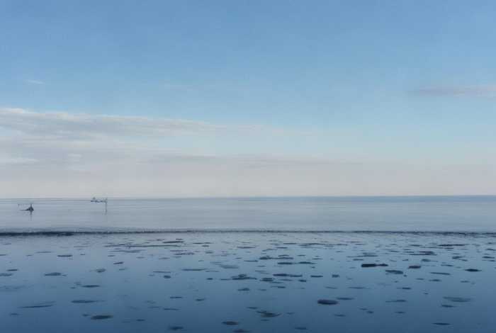 云南康辉旅行社杨苏 - 云南康辉旅行社杨苏简历