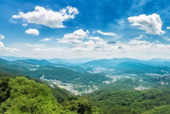 上汽大众旅行车 - 上汽大众旅行车有几款车