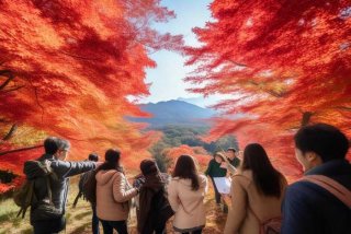 鞍山旅行社一日游 鞍山旅行社一日游映山红团