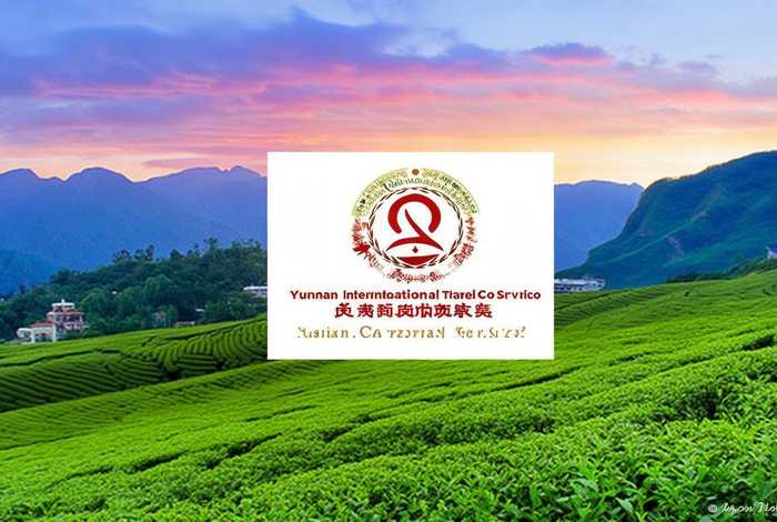 云南国际旅行社有限公司可靠吗 云南国际旅行社有限公司电话 云南国际旅行社有限公司可靠吗 云南国际旅行社有限公司电话