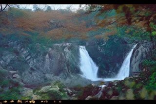 昆明康辉旅行社口碑怎么样 昆明康辉旅行社口碑怎么样知乎