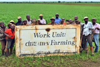 工作单位怎么填写才正确，农民工作单位怎么填写才正确