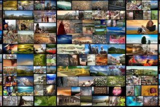 照片图片（照片图片大全）