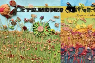 手工作品图片大全 简单 小学生（手工作品图片大全 简单 小学生五谷丰登）