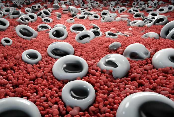 工作细胞black、工作细胞black免费观看完整版