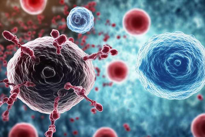 工作细胞癌细胞；工作细胞癌细胞x白细胞cp文