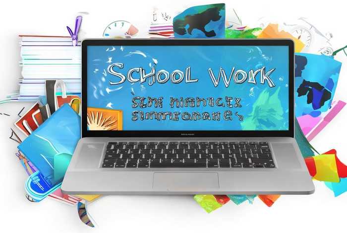 学校工作总结 新浪博客（学校工作总结 新浪博客文章）