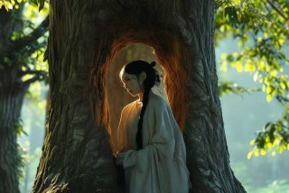 杨幂工作室微博树洞，杨幂工作室微博工作室微博