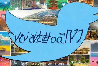 杨紫个人微博号、杨紫个人微博号是什么