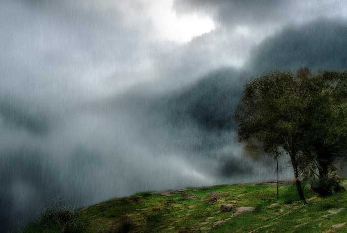 杨幂工作室道歉事件、杨幂工作室道歉事件视频