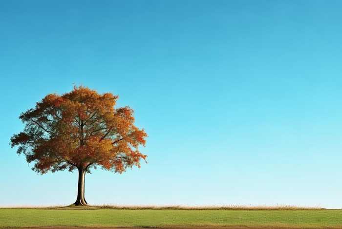 工作总结结尾简单大气 工作总结结尾简单大气怎么写 工作总结结尾简单大气 工作总结结尾简单大气怎么写