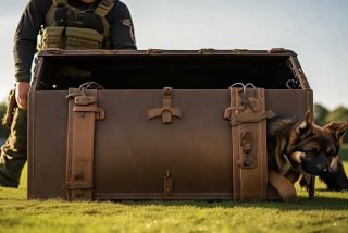 工作犬训练用箱包（工作犬训练用箱包吗）