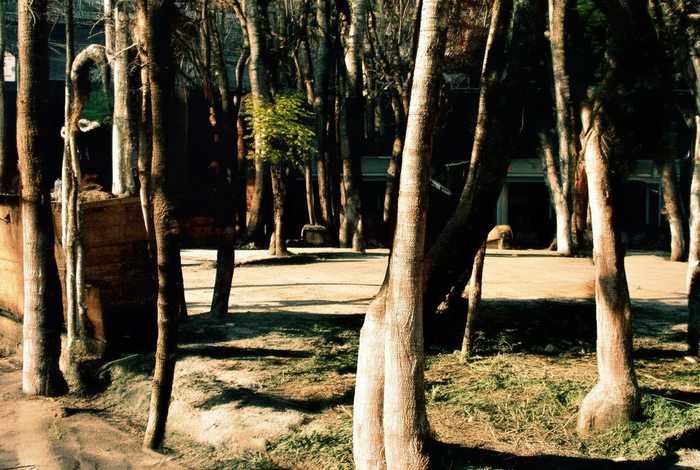 电动机的工作原理图，电动机的工作原理图像是什么