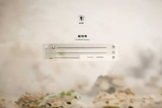 行客工作室网站，行客工作室网站登录