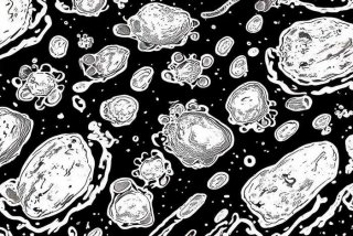 工作细胞black普通话版，工作细胞black中文版免费完整版