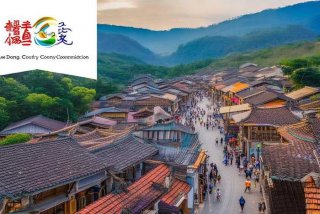 乐东县委官方网、乐东县委官方网站