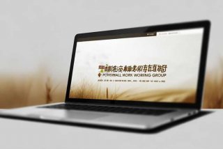 中央农村工作领导小组官网 中央农村工作领导小组官网查询