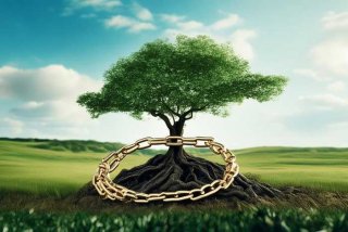 国家对禁毒工作的治本之策，国家对禁毒工作的治本之策有哪些