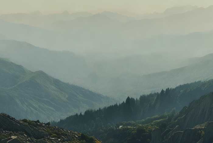 杨幂工作室道歉事件、杨幂工作室道歉事件视频