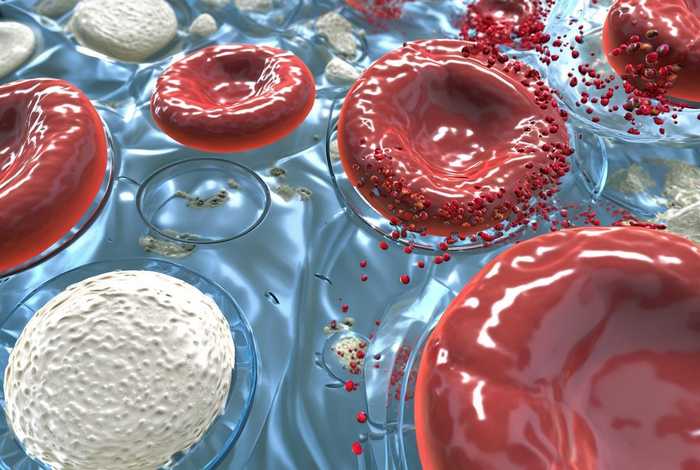 工作细胞免费全集完整版（工作细胞高清全集完整版免费）