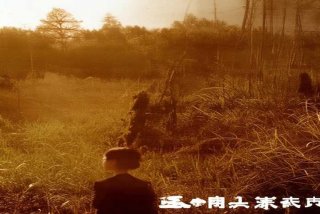 工作日记15～20个字 - 鸽子汤的功效与作用