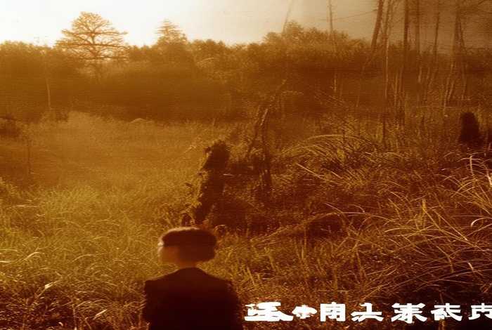 工作日记15～20个字 - 鸽子汤的功效与作用