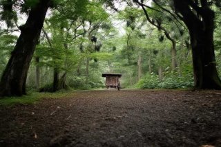 深圳找工作好找吗；深圳找工作好找吗女生