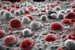 工作细胞black中文版；工作细胞black中文版全集