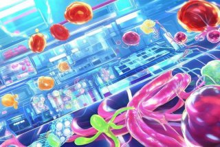 工作细胞第二季中配版百度云（工作细胞第二季中配版百度网盘）