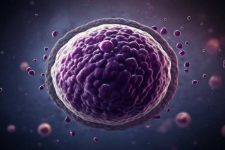 工作细胞black版巨噬细胞，工作细胞black巨噬细胞全身图