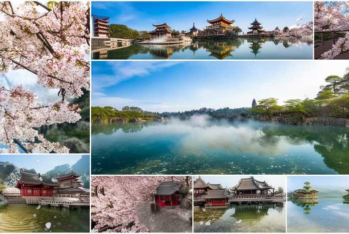 明范本图片、明范本图片大全