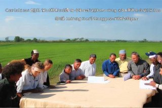 中央农村工作小组会议 - 中央农村工作会议新华网