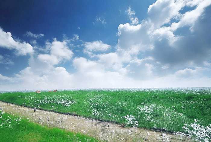 上海找工作哪个平台最可靠真实、上海找工作哪个平台最可靠真实？