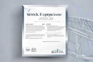 工作经历证明文件，工作经历证明文件包括哪些内容