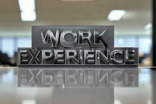 工作经历英文大写、工作经历英文大写还是小写