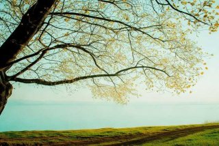 没有工作的一年感悟，没有工作的一年感悟怎么写