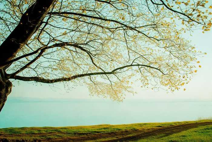 没有工作的一年感悟，没有工作的一年感悟怎么写