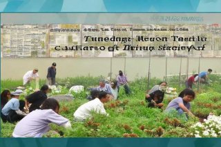 我国禁毒工作的治本之策是哪个？，我国禁毒工作的治本之策是哪一项？哪个选项？