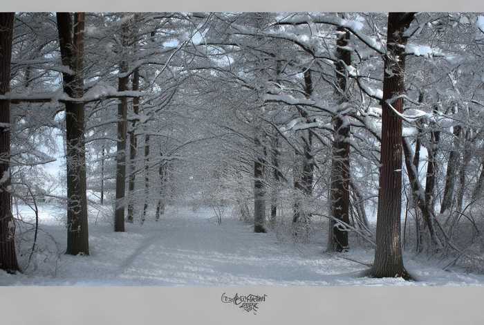 电子产品退货商品怎么处理（电子产品退货后卖家怎么处理）