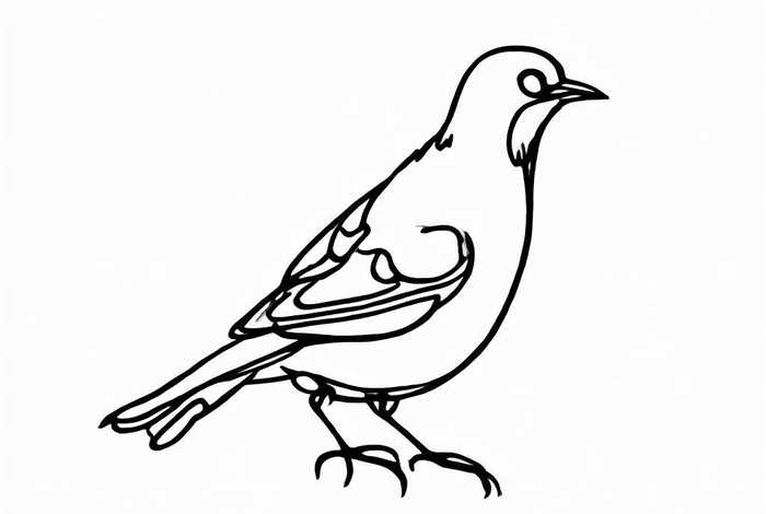 电子产品呈现模板 电子产品呈现模板图片