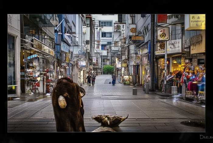 电子产品照摄像器材维修太原 - 太原摄影器材店 电子产品照摄像器材维修太原 - 太原摄影器材店