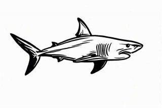 新电子产品第一次充电一定要充满吗为什么；新电子产品第一次充电一定要充满吗为什么呢