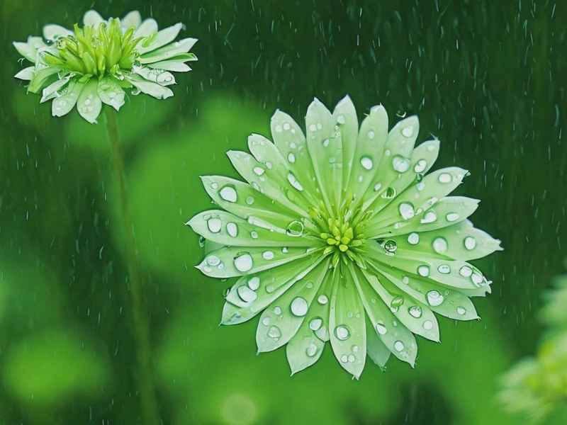 下雨心情说说感悟生活 下雨心情说说感悟生活 领会之后的美好 下雨心情说说感悟生活 下雨心情说说感悟生活 领会之后的美好