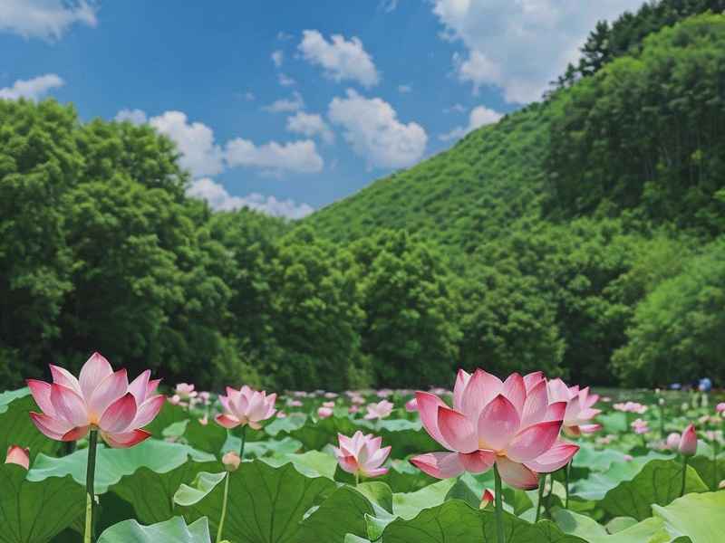 通化生活网、通化生活网