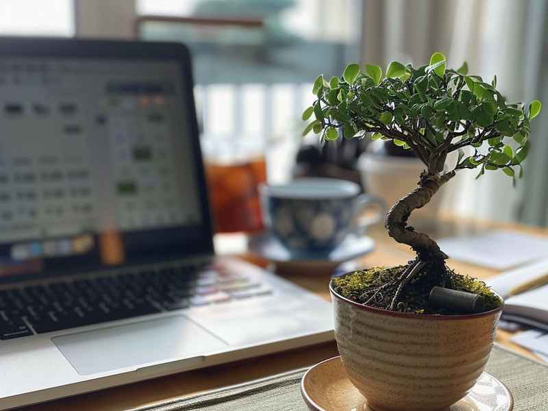向往的生活之种植大师;向往的生活之种植大师爱看书吧 向往的生活之种植大师;向往的生活之种植大师爱看书吧